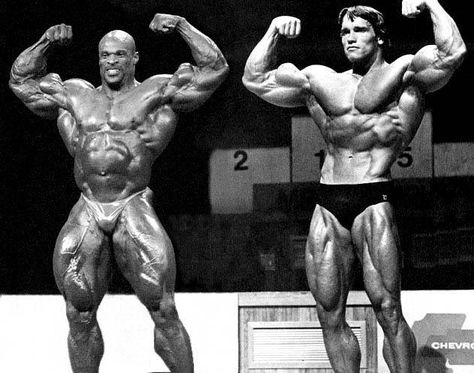 Top 10 Most Impressive Physiques of All Time- Most Aesthetically Pleasing Bodybuilders- Best Bodies Arnold Schwarzenegger Bodybuilding, Best Bodybuilder, Schwarzenegger Bodybuilding, Bodybuilding Pictures, Build Muscle Fast, Ronnie Coleman, Pumping Iron, Workout Memes, Body Builder