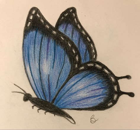 Mini Drawings Doodles, Drawings Colored Pencils, Realistic Drawings Colored Pencils, Pencil Art For Beginners, Easy Butterfly Drawing, Butterfly Art Drawing, Butterfly Sketch, Pencil Drawings For Beginners, Color Drawing Art