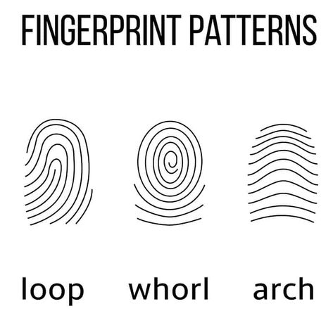 This easy kids' fingerprint activity helps them learn how to take their own fingerprints. They'll have fun using science to analyze their fingerprints and to compare them to their friends. This method isn't as messy as others. It's a great activity for the Bear Cub Scout elective adventure, Forensics. #CubScouts #CubScout #Scouting #BearCubScout #STEM #STEMforKids #KidsActivities #CubScoutIdeas Fingerprint Activity, Geheimagenten Party, Kids Worksheet, Spy Party, Scout Activities, Spy Kids, Stem For Kids, Cub Scout, Art Therapy Activities