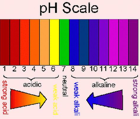 Litmus Paper, Ph Scale, Balance Ph, Acid And Alkaline, Hair Facts, Natural Girls, Natural Girl, High School Chemistry, Cosmetology School