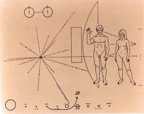 Pioneer Plaque, Lynn Margulis, Voyager Spacecraft, Future Timeline, Fermi Paradox, Space Probe, Pema Chodron, Byron Katie, Human Body Parts