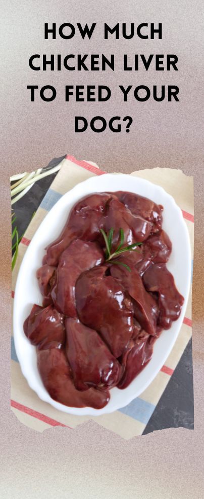 Cooking Chicken Livers, Chicken Liver Recipes, Live Chicken, Dog Treats Homemade Easy, How To Cook Liver, Make Dog Food, Liver Recipes, Healthy Dog Treats Homemade, Chicken Liver