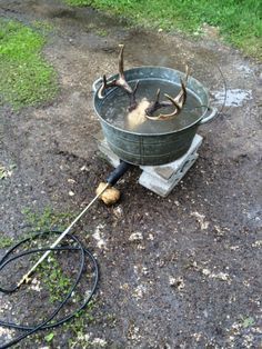 How I boiled and cleaned an old deer head for a European mount, plus other cool stuff on my blog. Euro Mount, Deer Processing, Deer Hunting Decor, Deer Skull Mount, Euro Mounts, Antler Ideas, Whitetail Deer Hunting, European Mount, Hunting Diy