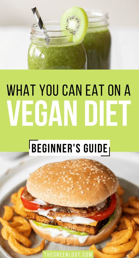 A Beginner's Guide to the Vegan Diet. What can vegans eat? What can't they eat? Now you'll know exactly! | The Green Loot #vegan Vegan Benefits, Vegan Transition, How To Become Vegan, Vegan Grocery, Vegetarian Lifestyle, Cake Vegan, Go Vegan, Vegan Living, Vegan Nutrition