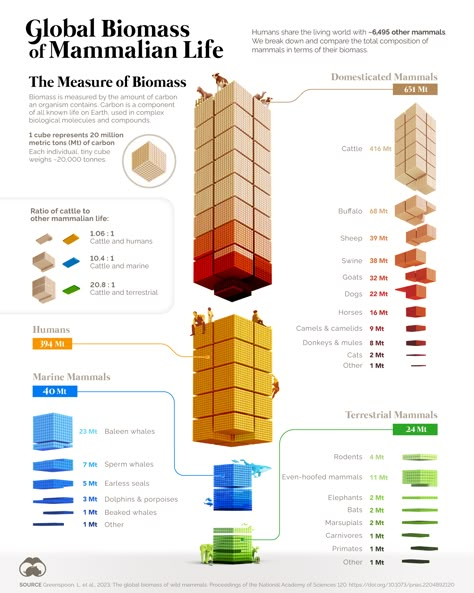 Data Mapping, Data Art, Board Presentation, Software Business, Data Map, Information Visualization, Data Visualization Design, Average Body, Presentation Boards