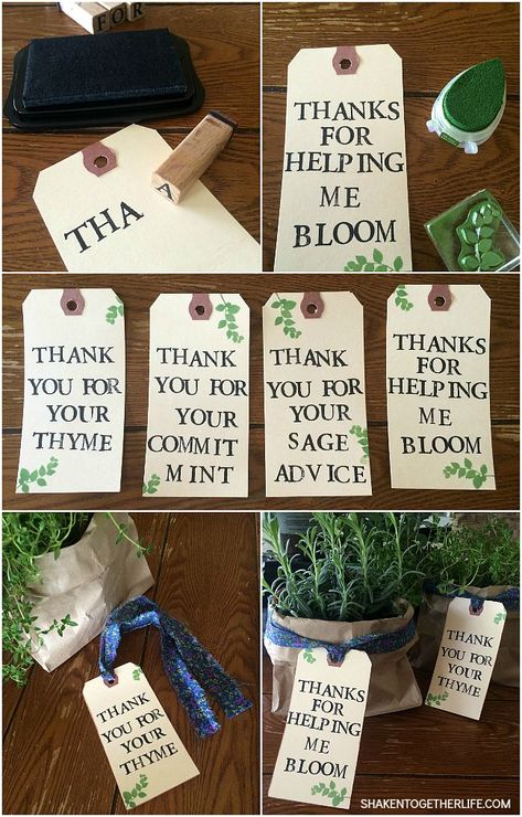 How to make Thank You Herb Gifts - perfect for teachers, neighbors, volunteers and any other special people in your life! Herb Garden Gift, Stamped Tags, Herb Gifts, Potted Herbs, Volunteer Gifts, Volunteer Appreciation, Planter Gift, Staff Appreciation, Teacher Thank You