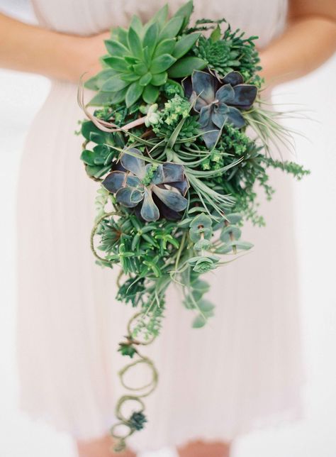 Modern Wedding Bouquets, Hydrangea Bouquet Wedding, Greenery Wedding Bouquet, Succulent Bouquet Wedding, Cascading Wedding Bouquets, Round Bouquet, Cactus Wedding, Red Bouquet Wedding, Winter Wedding Bouquet