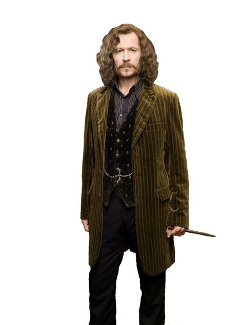 Gary Oldman Harry Potter, Sirius Black Costume, Marauders Slytherin, Granger Hermione, Actor Gary Oldman, Hermione Draco, Harry Potter Fanları, Walburga Black, Slytherin Harry