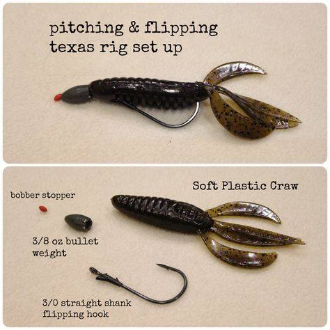 Texas Rig Fishing Tips to Catching More Bass Bass Fish Cake, Bass Fishing Quotes, Bass Fishing Tattoo, Bass Fishing Pictures, Largemouth Bass Fishing, Diy Fishing Lures, Bass Fishing Lures, Bass Fishing Tips, Fishing Pictures