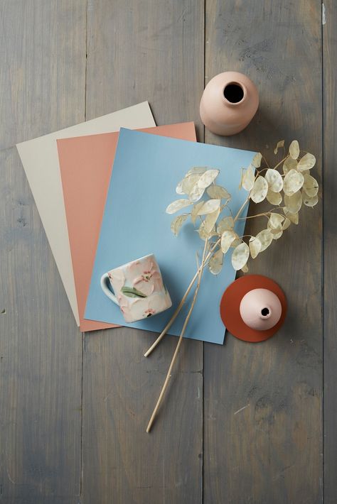 Resene Colorshop Archives - Metropol Duck Egg Blue Living Room, Elevated Branding, Pale Terracotta, Resene Colours, New Neutrals, Palette Design, Paint Swatches, Colour Inspiration, Visual Texture