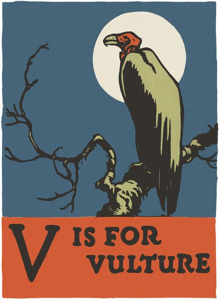 Alphabet: V is for Vulture by C.B. Falls from Green Tiger Press Vulture Marvel, Woodcut Illustration, Vulture Culture, Art Print Display, Vintage Postcard, Bird Art, Linocut, High Quality Art Prints, Culture Art