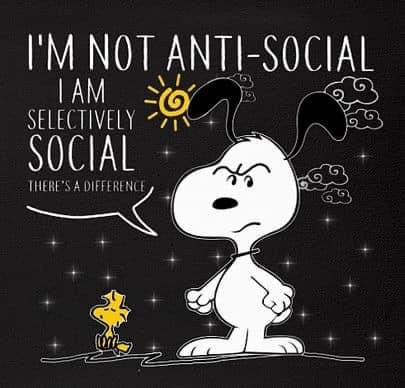 Selectively Social, Peanuts Quotes, Charlie Brown Quotes, Peanut Gang, Snoopy Cartoon, Snoopy Funny, Snoopy Images, Peanuts Cartoon, Snoopy Wallpaper