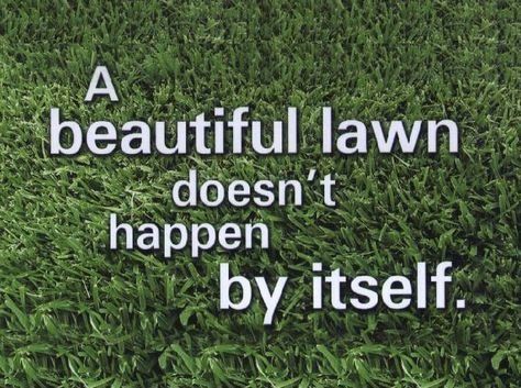 Let John Moore Services help make your lawn beautiful. Lawn Care Humor, Lawn Problems, Lawn Care Business, Weeds In Lawn, Lawn Care Tips, Lawn Service, Lawn Sprinklers, Yard Care, Lawn Maintenance