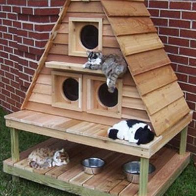 Cat House Plans, Kat Diy, Chat Diy, Furniture Colors, Pallet Furniture Designs, Pallet Patio Furniture, Cat House Diy, Outdoor Cat House, Wooden Pallet Furniture