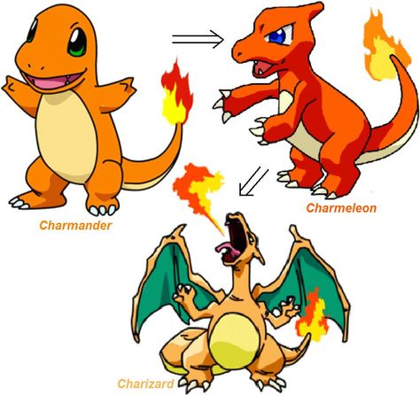 Charmander Evolution Evolution Drawing, Charizard Evolution, Charmander Evolution, Muslim Kids Activities, Pokemon Painting, Popular Pokemon, Detective Pikachu, Pokemon Sketch, Pokemon Charmander