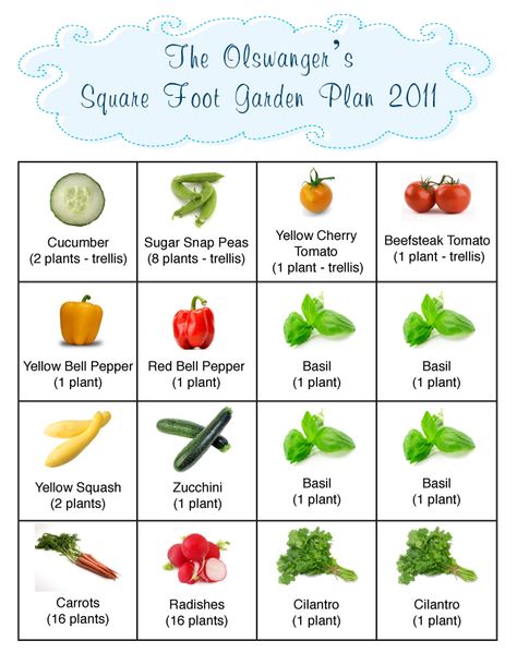 Square foot garden plan Square Foot Gardening Plans, Gardening Layout, Square Foot Gardening Layout, Square Foot Garden, First Garden, Garden Plan, Fall Garden Vegetables, Trellis Plants, Square Foot Gardening