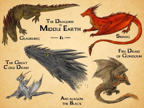 Dragons of Middle Earth Middle Earth Dragons, Dragons Of Middle Earth, Smaug Dragon, Earth Dragon, Middle Earth Shadow, Dragon Names, Middle Earth Art, Dragon Tales, Dnd Dragons