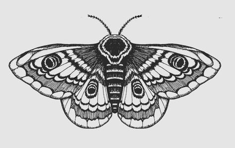 White Moth Tattoo, Moth Tattoo Meaning, Tattoo Papillon, Traditional Moth Tattoo, Moth Tattoos, Designs With Meaning, Moth Tattoo Design, Moth Art Print, Moth Art