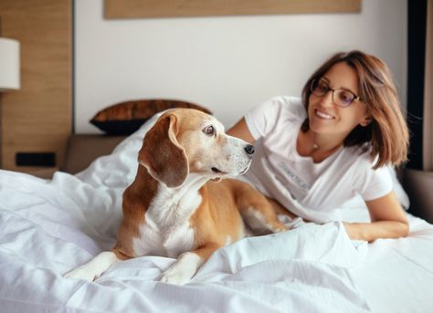 Dog-friendly hotel chains, from Quality Inn to Four Seasons, are accommodating Vashon Island Wa, Vashon Island, Dog Friendly Hotels, Dog Hotel, Best Travel Credit Cards, Tracking App, Hotel Chain, Pet Friendly Hotels, Dog Travel