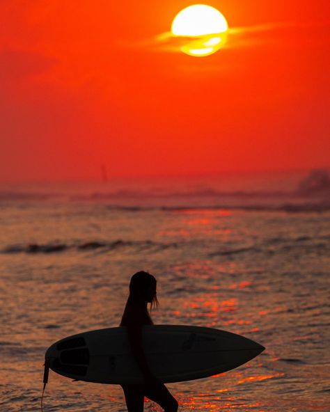 Surfer girl Ocean People, Surfer Girl Aesthetic, Surfer Aesthetic, Girl Surfer, Surf Aesthetic, Soul Surfer, Ocean Girl, Girl Vibe, Surfer Girl Style