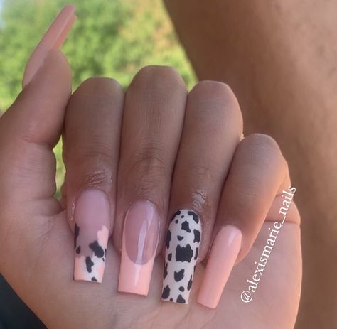 Pink Nails Acrylic, Country Acrylic Nails, Rodeo Nails, Cow Print Nails, Cowboy Nails, Short Coffin Nails Designs, Concert Nails, Western Nails, Country Nails