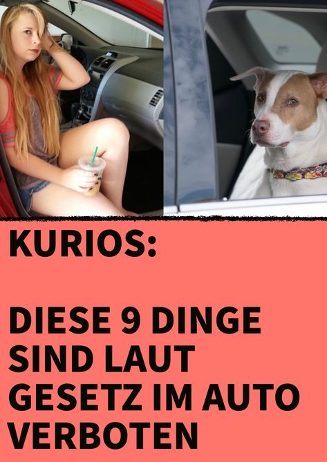 Kurios: Diese 7 Dinge sind laut Gesetz im Auto verboten. Die 9 kuriosesten Auto-Verbote in Deutschland. Laut Gesetz: Blitzer-Apps, planloses Herumfahren, Aufkleber auf dem Auto – das sind die 9 kuriosesten Auto-Verbote in Deutschland. via @GenialeTricks Buzz Feed, Sophia Loren, Camping, Funny, Quick Saves