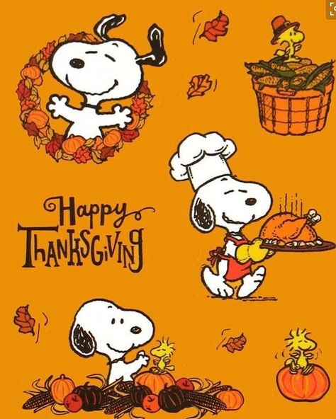 The Seasonal Holiday’s 365 on Instagram: "Only 4 days remain until Thanksgiving!! 💛🧡🦃🥧🦃🧡🧡 “What if just for today we were just grateful for everything.” ~ Unknown #thanksgiving🦃 #beablessing #thanksgiving2022 #thanksgivingprep #thanksgiving #happiness #blessed #bethankful #encourage #believe #forgive #givingthanks #thankfullness #turkeys #thankfulness #turkeystagram #instaturkey #turkeyday #season #charliebrownthanksgiving #thanksgivingtraditions #happythanksgivingday #turkeytime #pumpki Snoopy Happy Thanksgiving, Snoopy Thanksgiving, Thanksgiving Snoopy, Peanuts Thanksgiving, Happy Thanksgiving Cards, Happy Thanksgiving Pictures, Happy Thanksgiving Images, Thanksgiving Happy, Brown Quotes