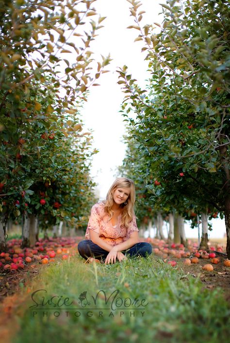 Senior.. I can take this at cherry picking place! Senior Picture Ideas Apple Orchard, Cherry Picking Photoshoot, Apple Orchard Senior Pictures, Apple Picking Photoshoot, Apple Orchard Photoshoot, Orchard Pictures, Apple Orchard Photography, Apple Orchard Pictures, Orchard Photoshoot