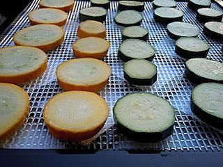 Dehydrate Zucchini, Blanch Vegetables, Cooking Yellow Squash, Squash In Oven, Zucchini And Summer Squash, Yellow Squash Casserole, Food Dehydration, Squash Zucchini, How To Cook Kale