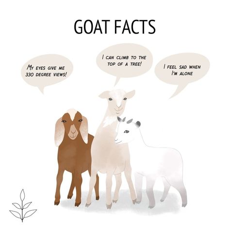 It's goat to make you happy eating vegan feta instead of goat's milk 💖 . . . . . #vegan #veganism #vegansofig #vegansofinstagram… Vegan Pictures, Goat Quotes, Goat Quote, Vegan Motivation, Vegetarian Quotes, Vegan Info, Vegan Feta, Happy Eating, Vegan Facts