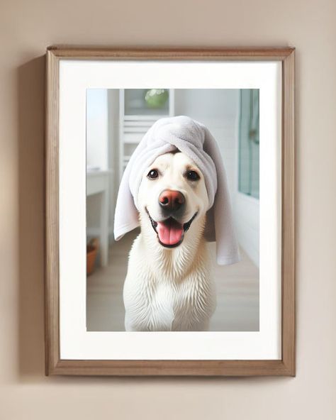 White Lab with Towel Poster Print Polar White Labrador Retriever Bath Funny Dog Bath Picture Bathroom Humor Pure White Lab Wall Art for Bath by IrbyAcresLabs on Etsy Dog Bathroom Art, Labrador Retriever Funny, Bath Pictures, White Labrador, Dog Bathroom, White Lab, Dog Bath, Bathroom Pictures, Bath Wall Art