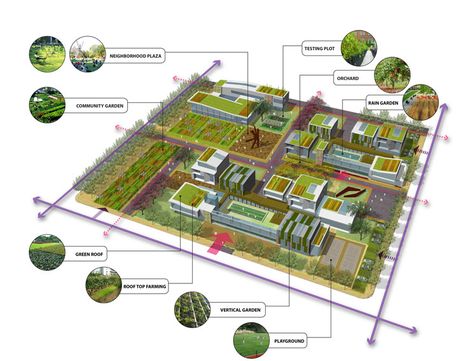 SONGZHUANG ARTS AND AGRICULTURE CITY Permaculture Architecture, City Diagram, Farming Architecture, Architecture Organic, Agriculture Design, Bubble Diagram, Urban Design Diagram, Urban Design Architecture, Creative Economy