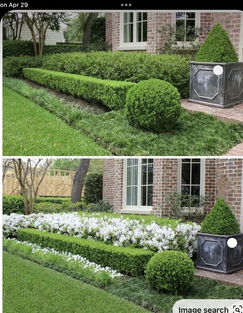 Moss Landscaping, Azaleas Landscaping, Front Entry Landscaping, Boxwood Landscaping, Front Lawn Landscaping, Landscaping Retaining Walls, Front Garden Design, Front Yard Garden Design, Outdoor Gardens Design