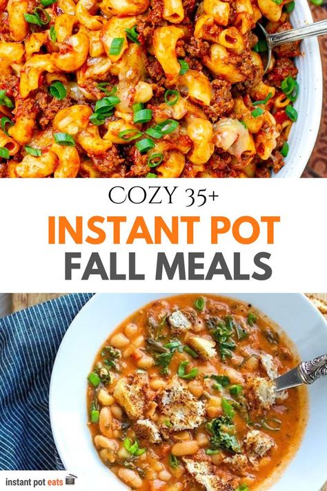 Cozy 35+ Instant Pot Fall Meals Fall Stew Instant Pot, Fall Dinner Instant Pot, Fall Instapot Recipes, Instant Pot Fall Recipes, Fall Instant Pot Recipes, Beet Risotto, Instant Pot Stew, Fall Meals, Tuscan Soup