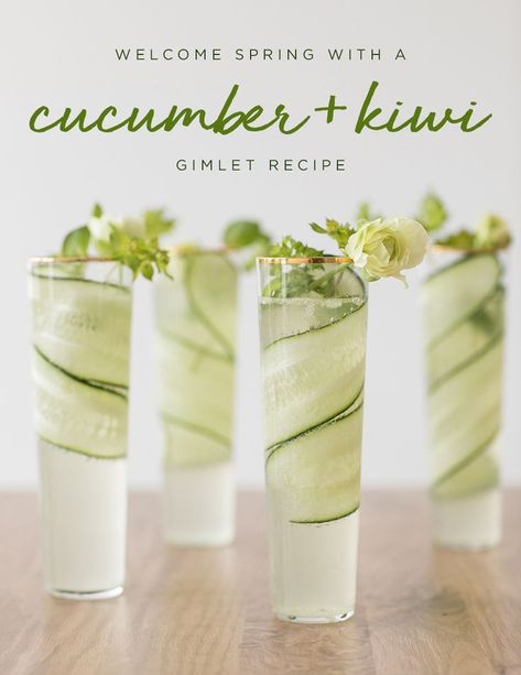 Cucumber and Kiwi Gimlet Recipe #cucumber #kiwi #gimlet #recipe #cocktail Gimlet Recipe, Limoncello Cocktails, Gimlet, Spring Cocktails, Lip Scrubs, Rum Punch, Fancy Drinks, Vodka Drinks, Pretty Drinks