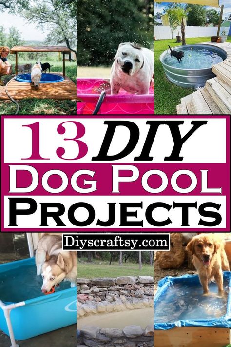 Dog pool projects are fun, easy, and affordable. They can help you save money and give your pet a fantastic place to play during the summer. Dog Pool Diy, Diy Dog Pool, Dog Pool Ideas, Building A Dog Kennel, Cat Tree Plans, Dog Boarding Facility, Dog Swimming Pools, Cat Exercise Wheel, Cat Fence