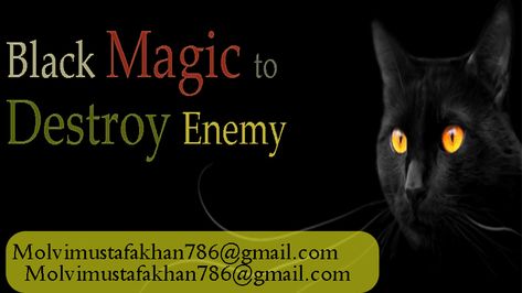 black magic to kill someone +91 8696219001 Dark Magic, Motion Pictures, Black Magic, Motion Picture, Writers, Slots, Motion, Tv, Movie Posters