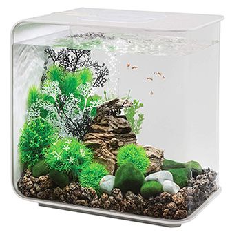 Aquarium Set, Acrylic Aquarium, Nano Aquarium, Glass Aquarium, Aquarium Setup, Aquarium Design, Healthy Water, Tanked Aquariums, Designer Pumps