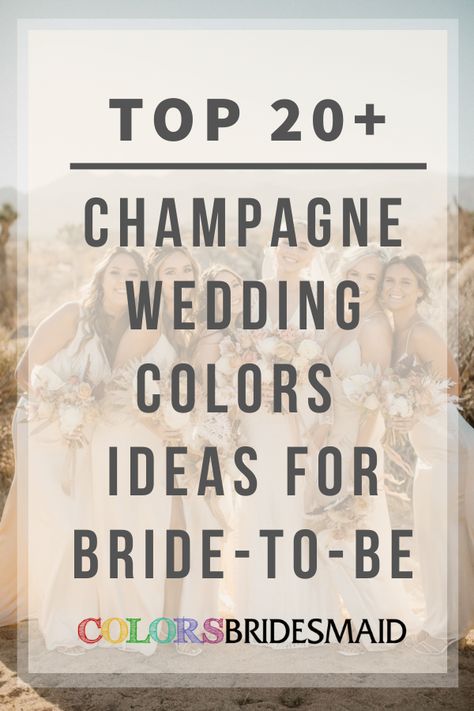 Top 40+ Wedding Colors for All Seasons and Colors - ColorsBridesmaid Colours That Go With Champagne, Colors That Go With Champagne Dresses, Bouquet With Champagne Dress, Champagne And Coral Wedding, Wedding Colors Champagne Colour Schemes, Colors That Go With Champagne, February Wedding Ideas Color Palettes, Wedding Color Palette Champagne, February Wedding Colors 2024