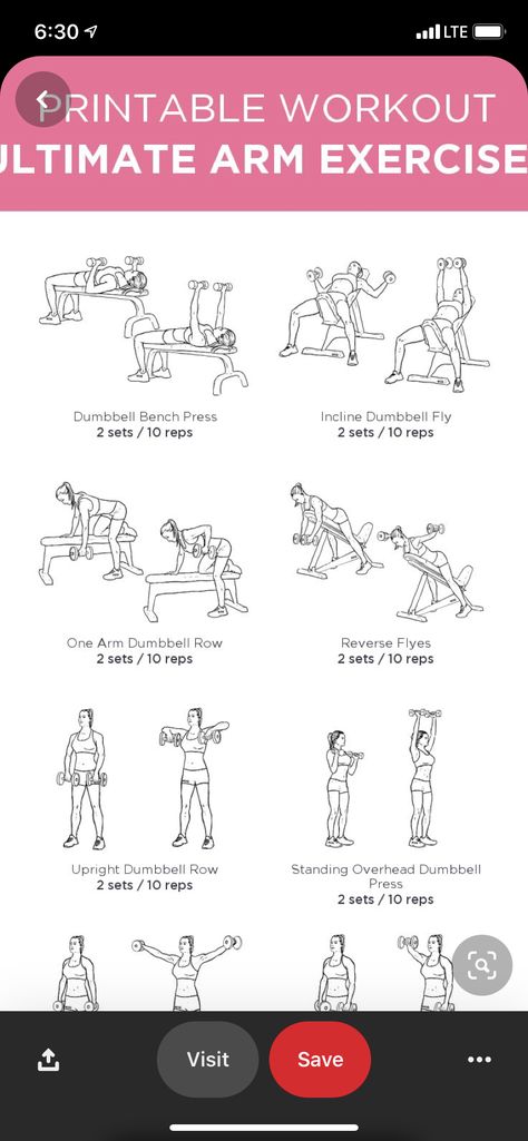 Arm Circuit Workout Dumbell, Dumbbell Bench Workout, Arm Dumbell Workout, Dumbell Arm Workout, Arm Circuit Workout, Dumbell Workout For Arms, Dumbbell Arms, Dumbbell Bench Press, One Arm Dumbbell Row