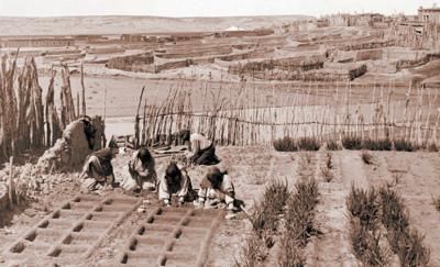 Irrigation wisdom from the ancients – The Denver Post Ancient Irrigation, Sunken Garden, Native American Peoples, Food Forest, Sustainable Farming, Garden Soil, Veggie Garden, Four Corners, Permaculture