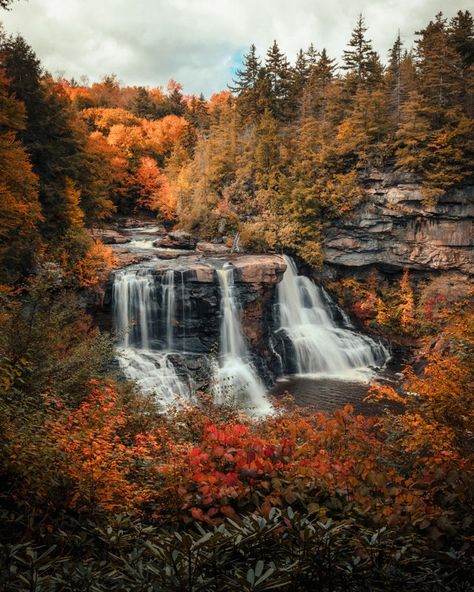 Black Water Falls West Virginia, West Virginia Aesthetic, Virginia Waterfalls, West Virginia Mountains, West Virginia Travel, Blackwater Falls, Fall Paintings, Virginia Fall, Nature Photography Landscape