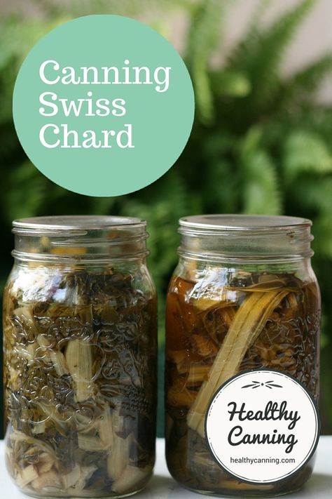 Canning Swiss Chard - Healthy Canning Can Vegetables, Growing Swiss Chard, Healthy Canning, Red Chard, Pressure Canning Recipes, Swiss Chard Recipes, Low Acid Recipes, Canning Fruit, Home Canning Recipes