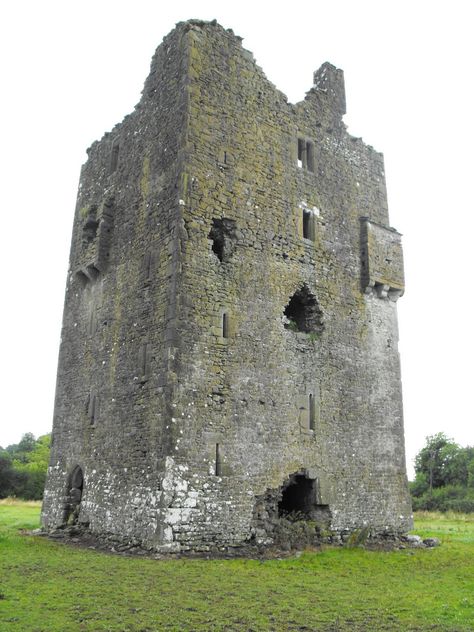 Tower house at Ballagharahin, County Laois, Ireland Laois Ireland, Medieval Tower, Castles In Ireland, Log House, Abandoned Castles, Tower House, Standing Stone, Minecraft Ideas, Medieval Fantasy