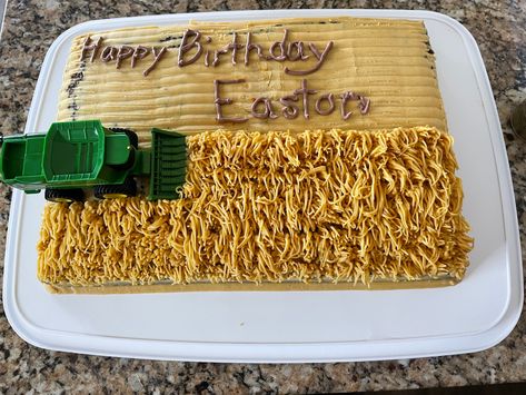 Exactly how he wanted it! Homeade choc cake and frosting! Harvest Cake, Corn Fields, Choc Cake, Corn Field, Wheat Field, Wheat Fields, Happy Birth, Frosting, Wheat