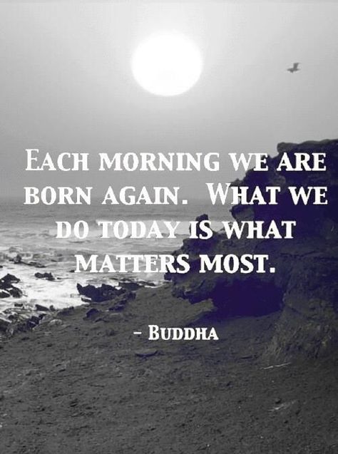 Do whatever you can today to benefit your future. What we do today is what matters the most. Make the best of it!  #positivemindset #positivevibes #positivity #dailyquotes #inspiration #motivation #InspirationalQuotes #MotivationalQuotes #health #wealth #love #happiness #peace #dreams #goals #success Sanna Ord, Buddha Quote, Buddha Quotes, Visual Statements, E Card, Quotable Quotes, A Quote, Morning Quotes, Good Morning Quotes