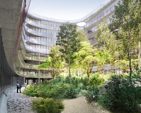 Herzog & de Meuron Reveal "Urban Forest" Office in Munich | Netfloor USA Urban Forest Landscape, Forest Office, Courtyard Landscape, Folding Architecture, Urban Forestry, Landscape And Urbanism Architecture, Patio Grande, Urban Forest, Green Office