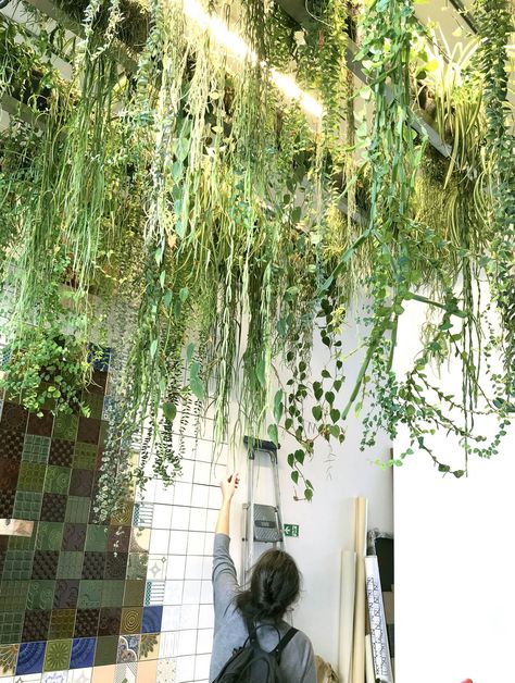 Canopy is a lightweight and automated planting system to make plant ceilings. Hanging Plants From The Ceiling, Ceiling Trellis, Hanging Plants Ceiling, Sunlife Organics, Plant Ceiling, David Thulstrup, Conservatory Ideas, Vertical Garden Design, Hanging Plants Indoor