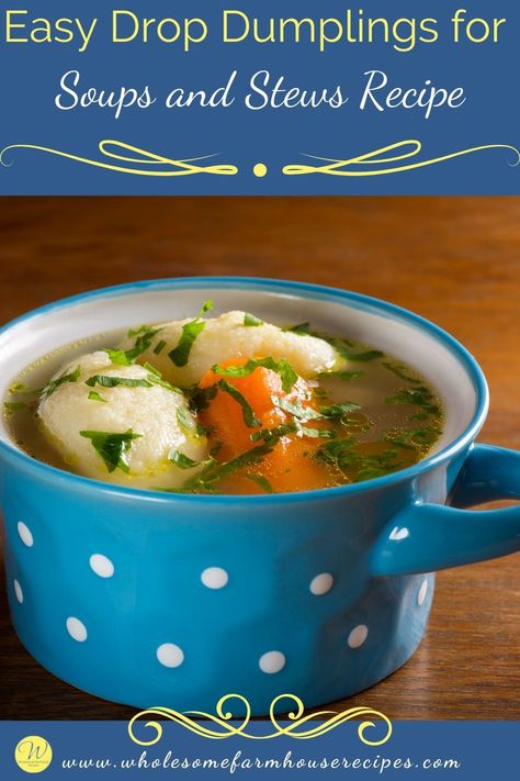 Easy Drop Dumplings for Soups and Stews Recipe Easy Drop Dumplings, Drop Dumplings, Farmhouse Recipes, Easy Dumplings, Big Pots, Gluten Free Chicken Recipes, Homemade Foods, Roasted Pork Tenderloins, Hearty Comfort Food