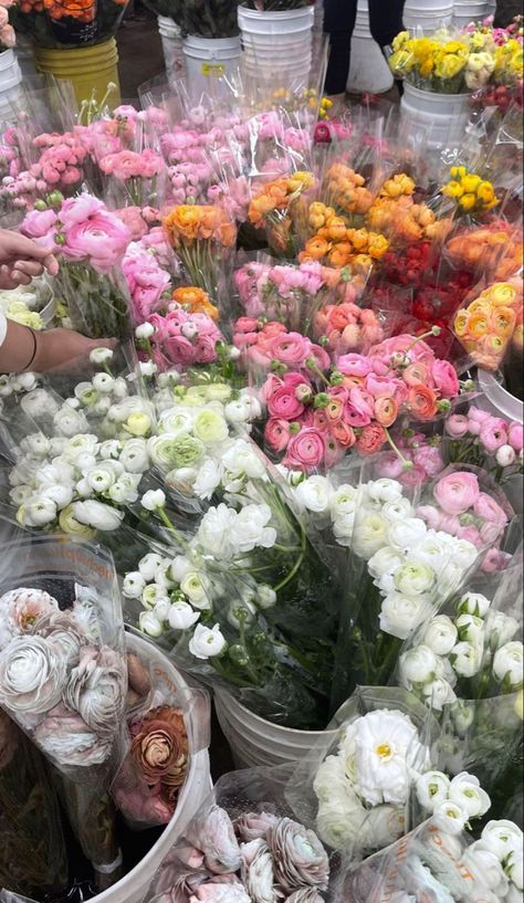 Flowers Colorful, Boquette Flowers, Nothing But Flowers, Flower Therapy, Luxury Flowers, Pretty Plants, Fresh Flower, Little Flowers, Flower Market